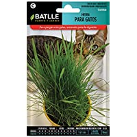 Semillas Aromáticas - Hierba para gatos - Batlle